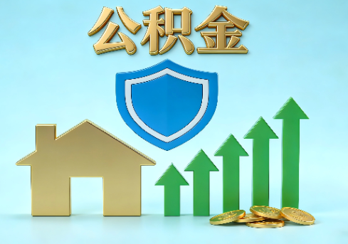 船营当前住房公积金提取条件分类指南与政策趋势